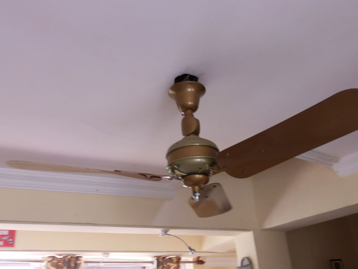 Vintage Last Fan Standing And Hanging